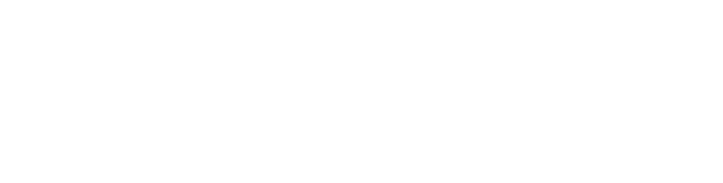 Kampfsport und Fitnessstudio in Mannheim – DENS Gym